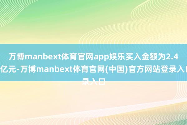 万博manbext体育官网app娱乐买入金额为2.46亿元-万博manbext体育官网(中国)官方网站登录入口