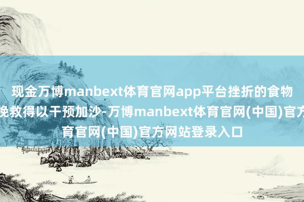 现金万博manbext体育官网app平台挫折的食物、物质和医疗挽救得以干预加沙-万博manbext体育官网(中国)官方网站登录入口