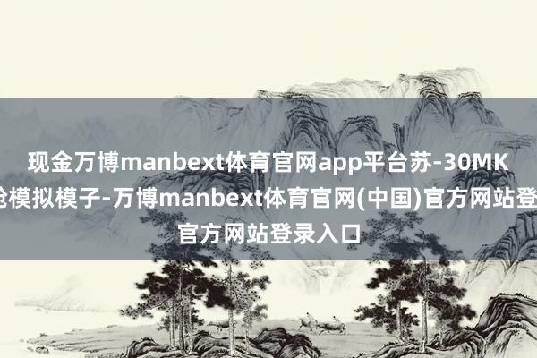 现金万博manbext体育官网app平台苏-30MKI驾驶舱模拟模子-万博manbext体育官网(中国)官方网站登录入口