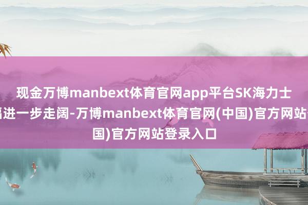 现金万博manbext体育官网app平台SK海力士股价跌幅进一步走阔-万博manbext体育官网(中国)官方网站登录入口