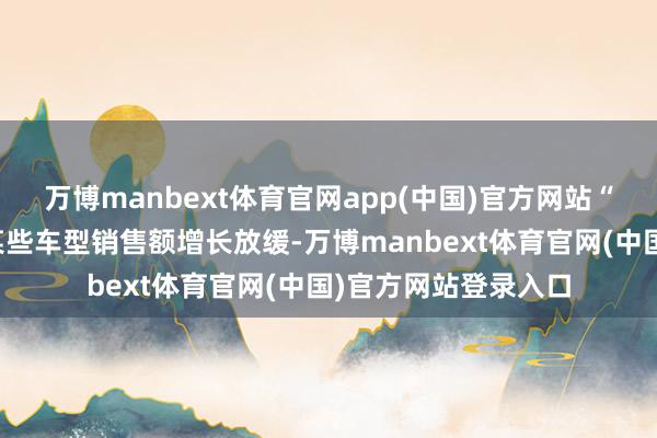 万博manbext体育官网app(中国)官方网站“公司整车厂客户的某些车型销售额增长放缓-万博manbext体育官网(中国)官方网站登录入口