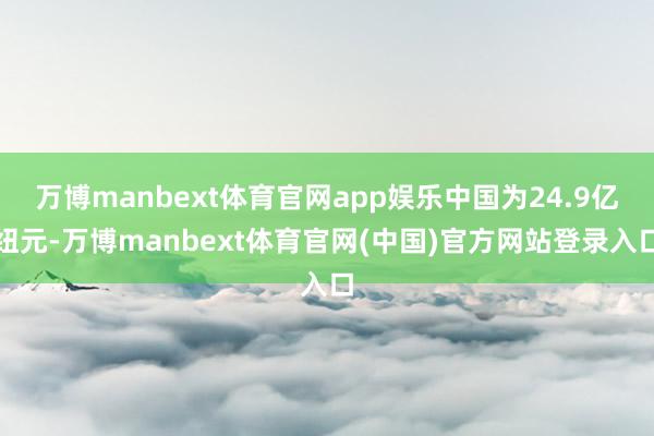 万博manbext体育官网app娱乐中国为24.9亿纽元-万博manbext体育官网(中国)官方网站登录入口